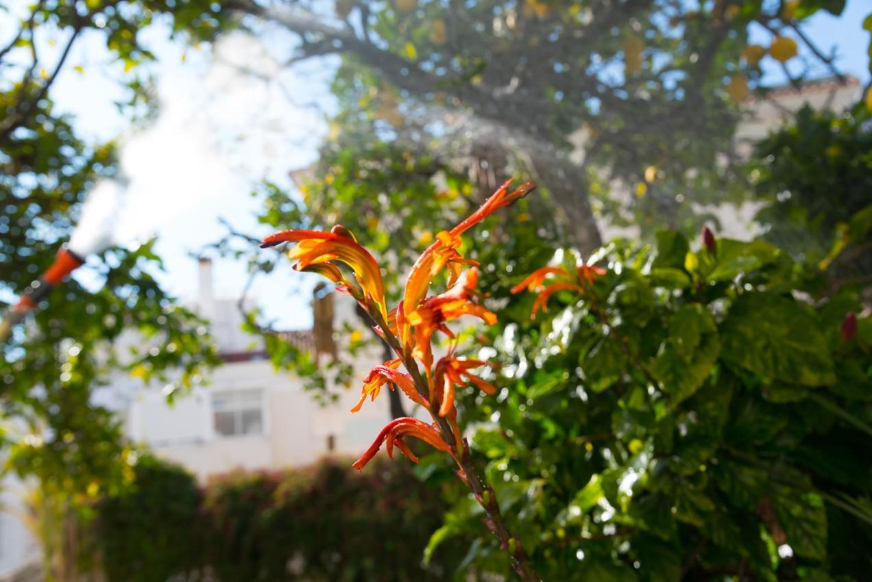 Ferienwohnung Flat With A Garden In Belem Lissabon Exterior foto