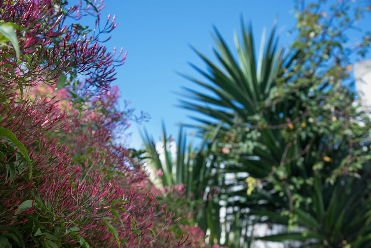 Ferienwohnung Flat With A Garden In Belem Lissabon Exterior foto